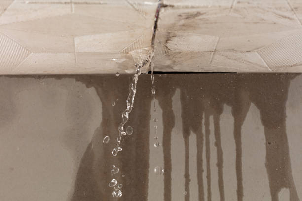 Professional Water Damage Repair technician working in Canyon, TX